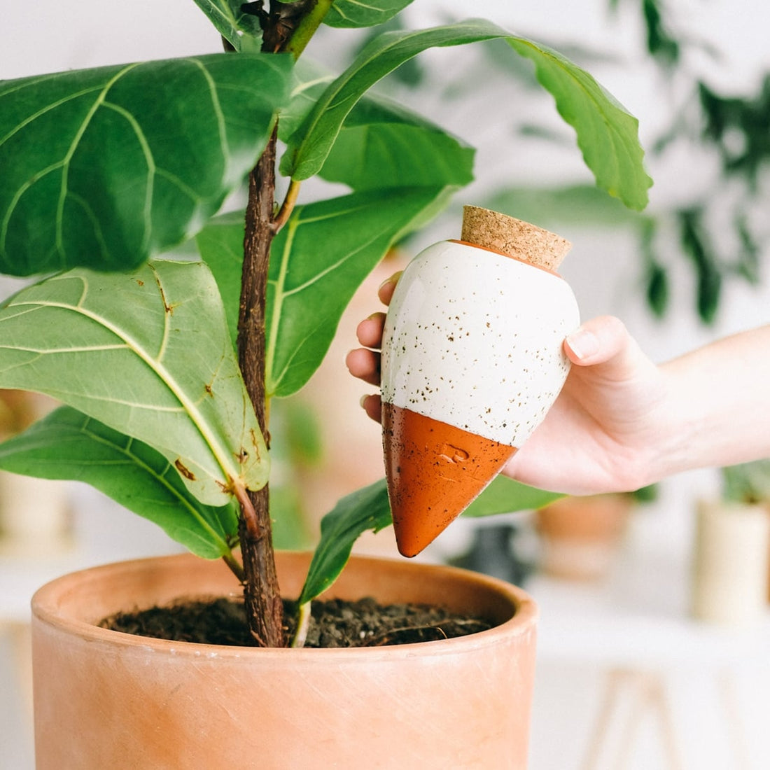 Jardinière d'intérieur : le guide & top modèles 2026