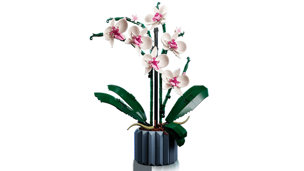 LEGO Orchid 10311 : l’orchidée iconique à construire et exposer Lego