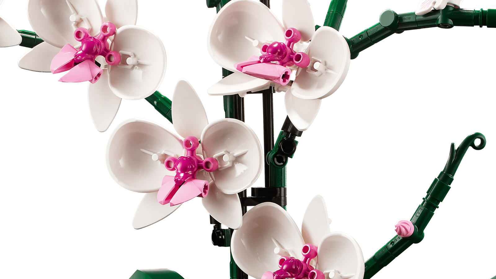 LEGO Orchid 10311 : l’orchidée iconique à construire et exposer Lego