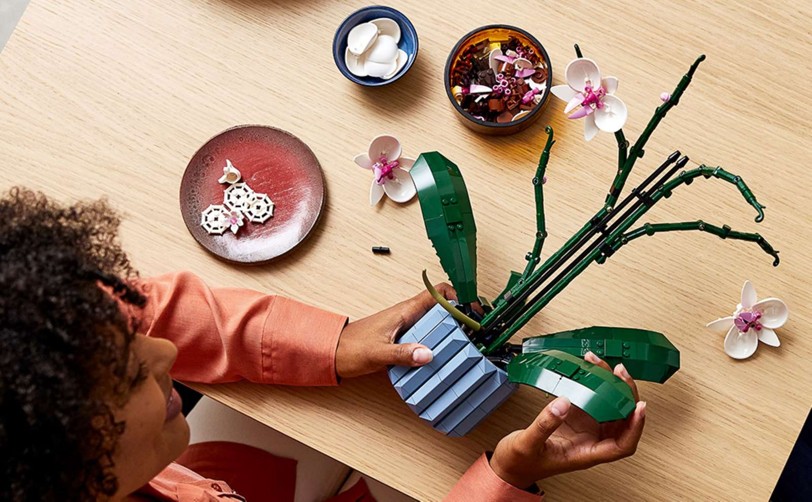 LEGO Orchid 10311 : l’orchidée iconique à construire et exposer Lego