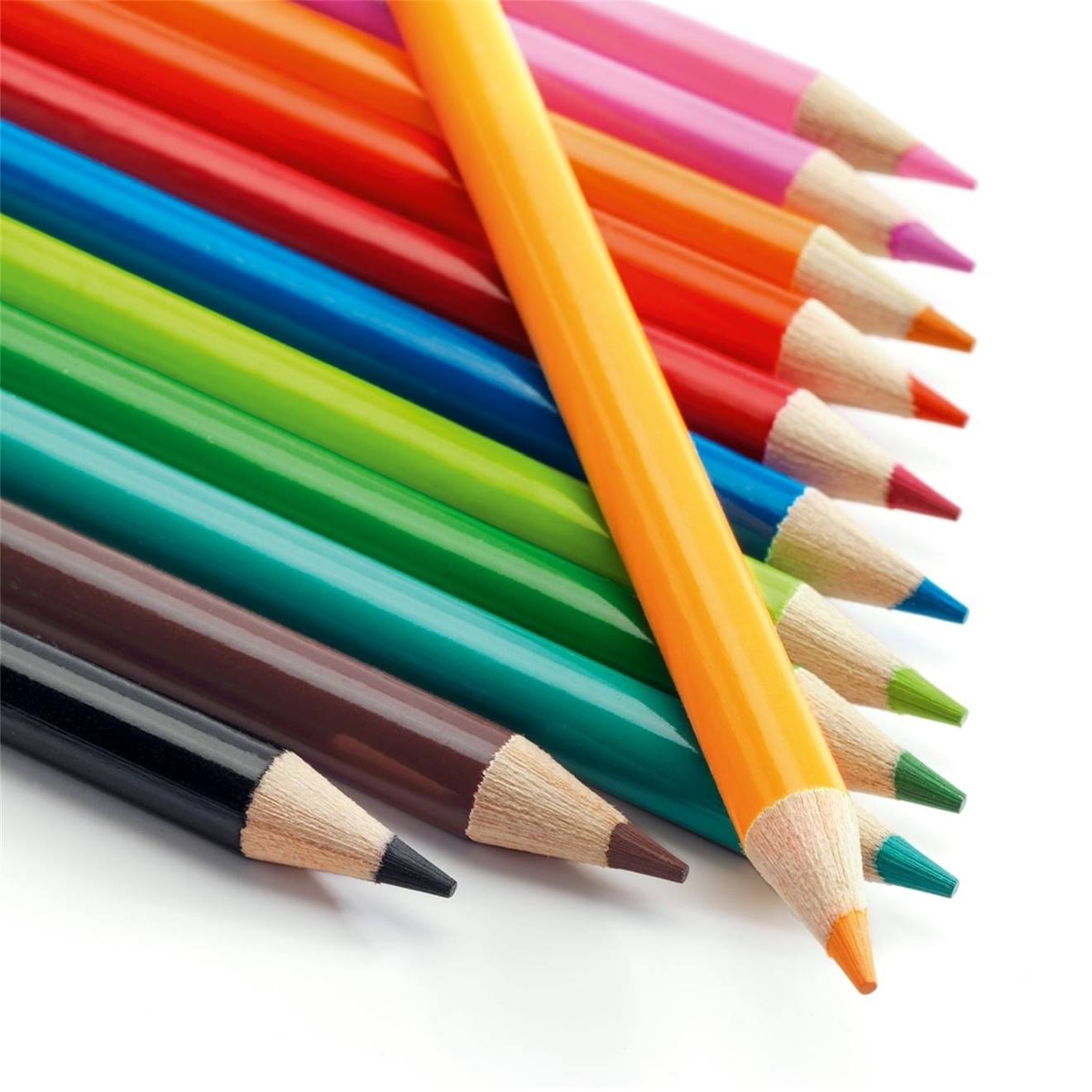 12 crayons aquarellables multicolore