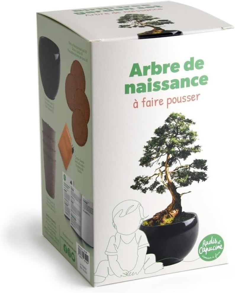 Kit arbre de naissance à planter cèdre Radis et Capucine