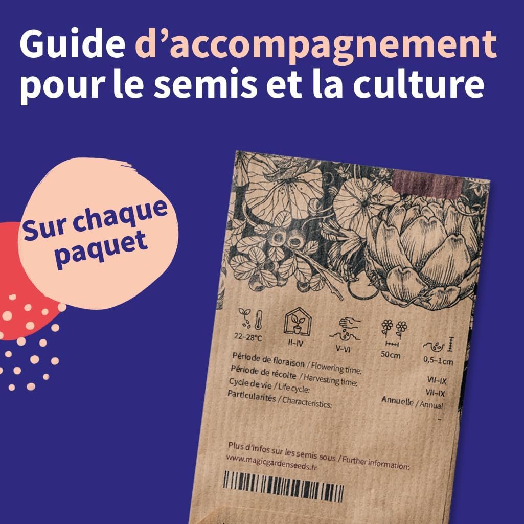 Calendrier de l’Avent des semences 2025