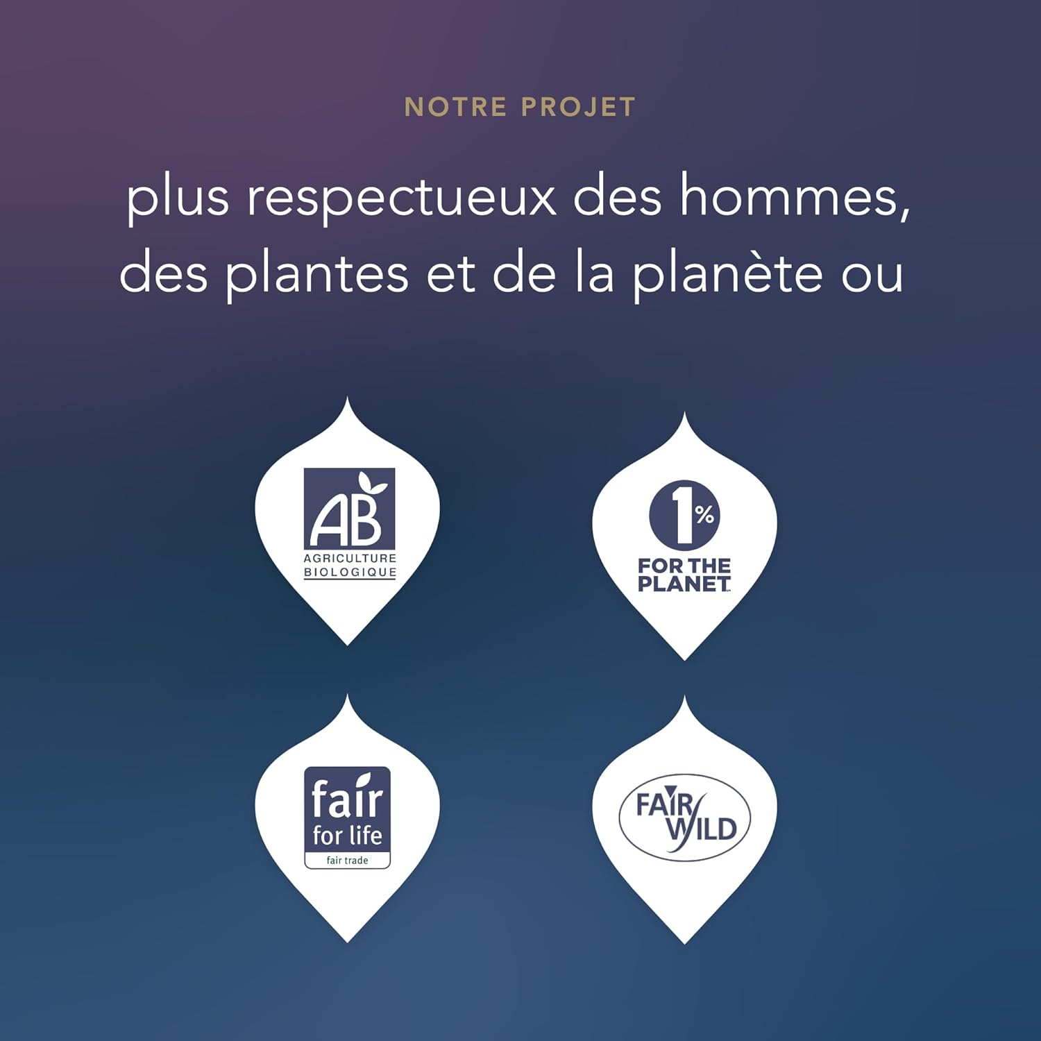 Calendrier de l’Avent Thé & Infusions Bio 2025 - Pukka