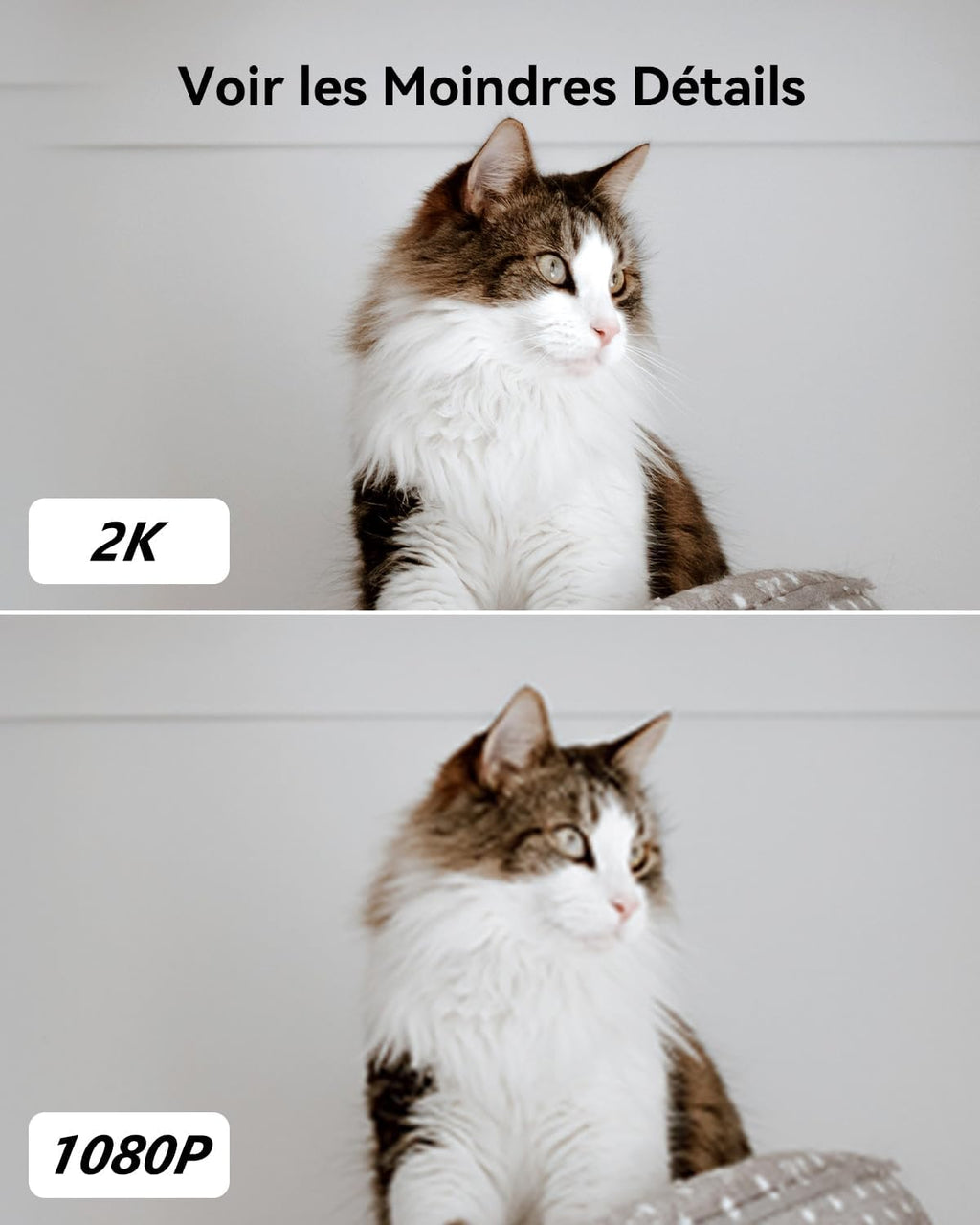 Imou 2K (3MP) : la caméra de surveillance intérieure ultra-complète à petit prix 🎥🏠