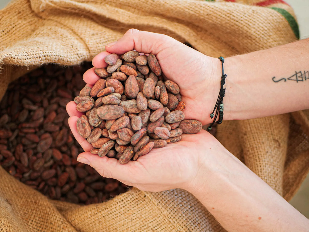 Apprenez à déguster le chocolat - Wecandoo