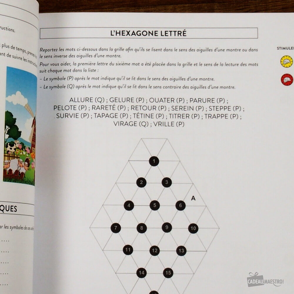 7 Minutes de Sport Cérébral par Jour - Livre à Offrir Hachette