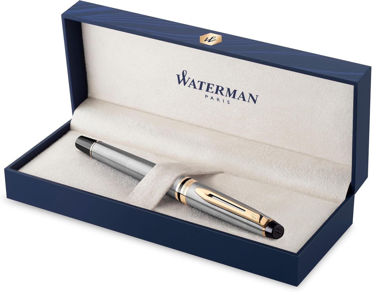 Stylo plume Waterman Expert (acier)
