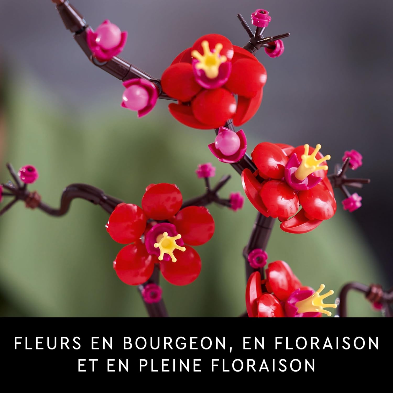 LEGO Botanicals Les Fleurs de Prunier 10369 Lego