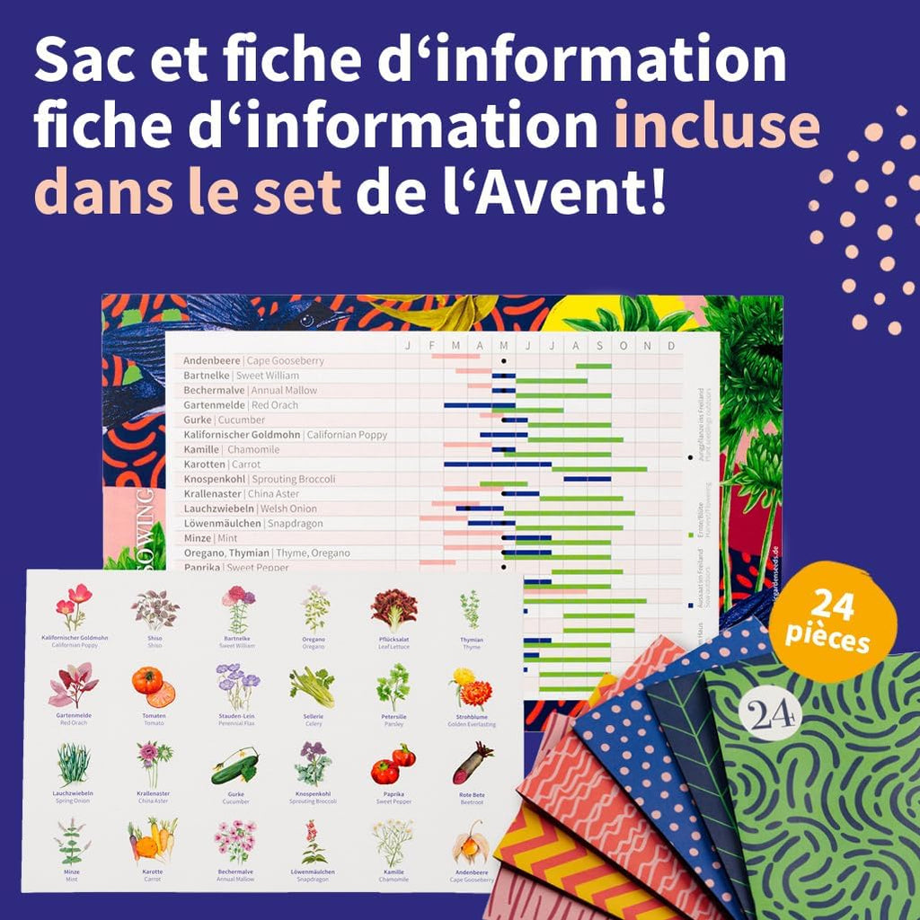 Calendrier de l’Avent des semences 2025
