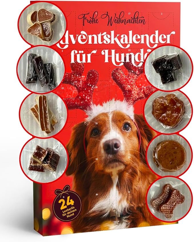 Calendrier de l'Avent friandises pour chien