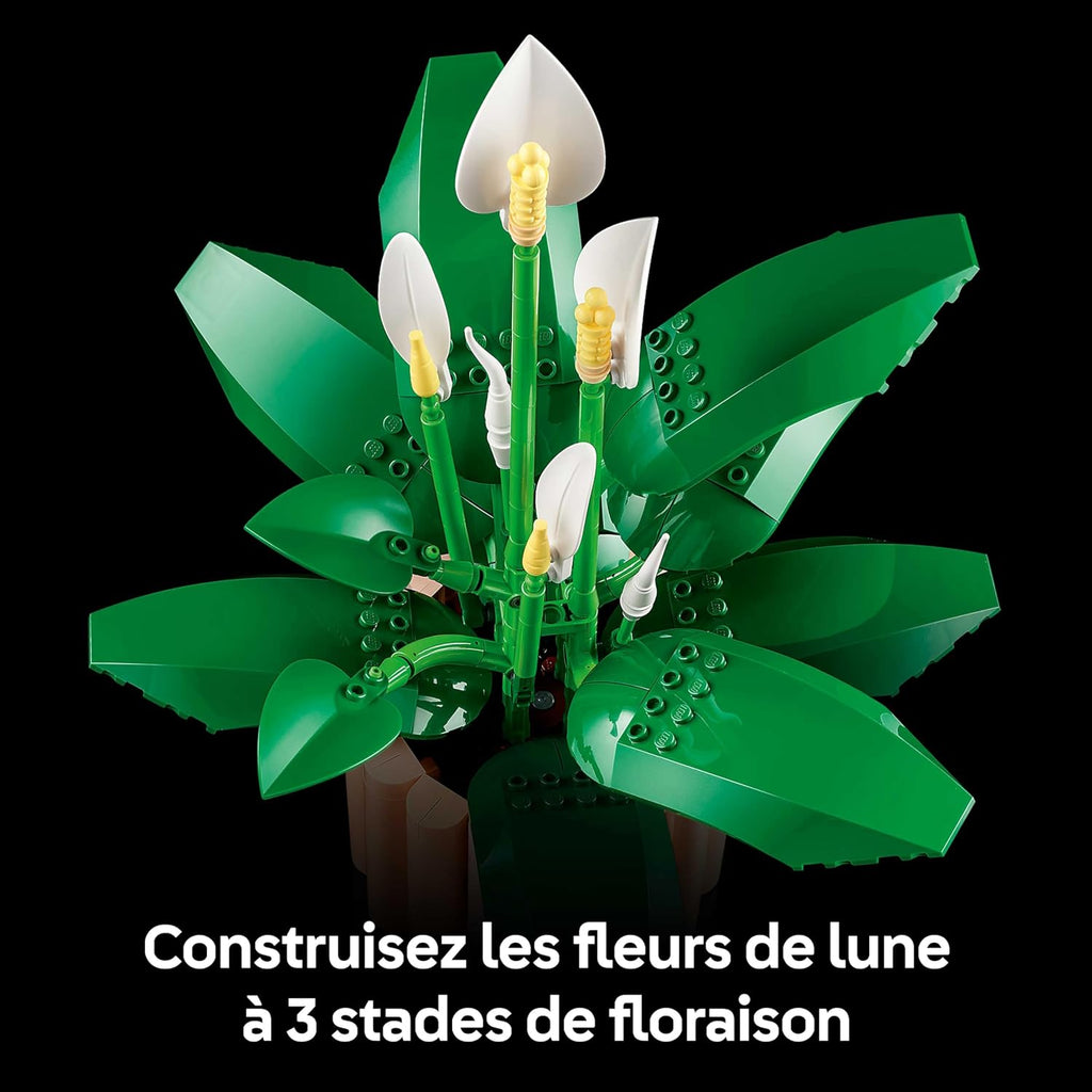 LEGO Botanicals Les Fleurs de Lune 11504 Lego