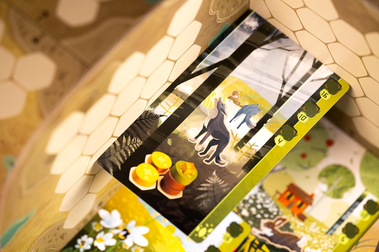 Harmonies : le jeu de société qui vous envoie dans la nature