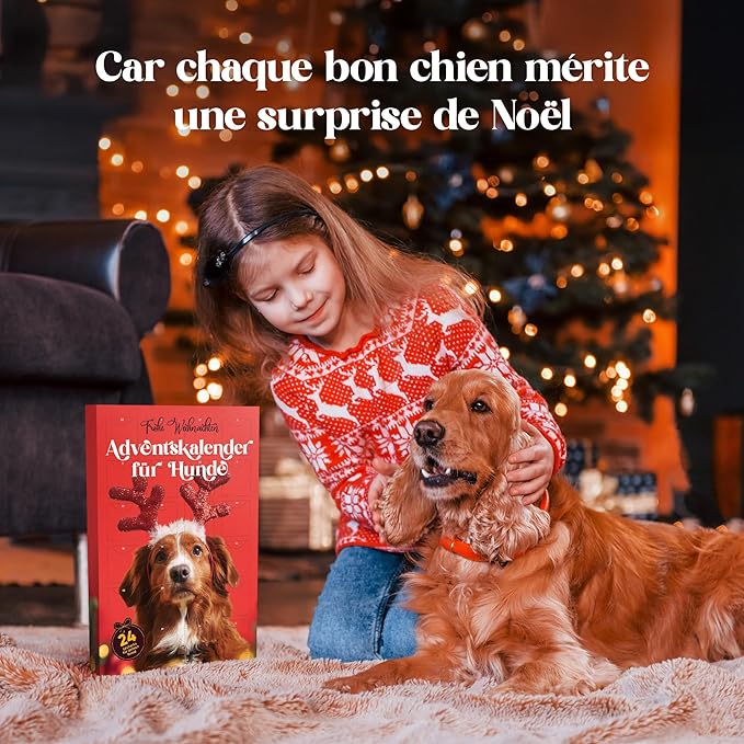 Calendrier de l'Avent friandises pour chien