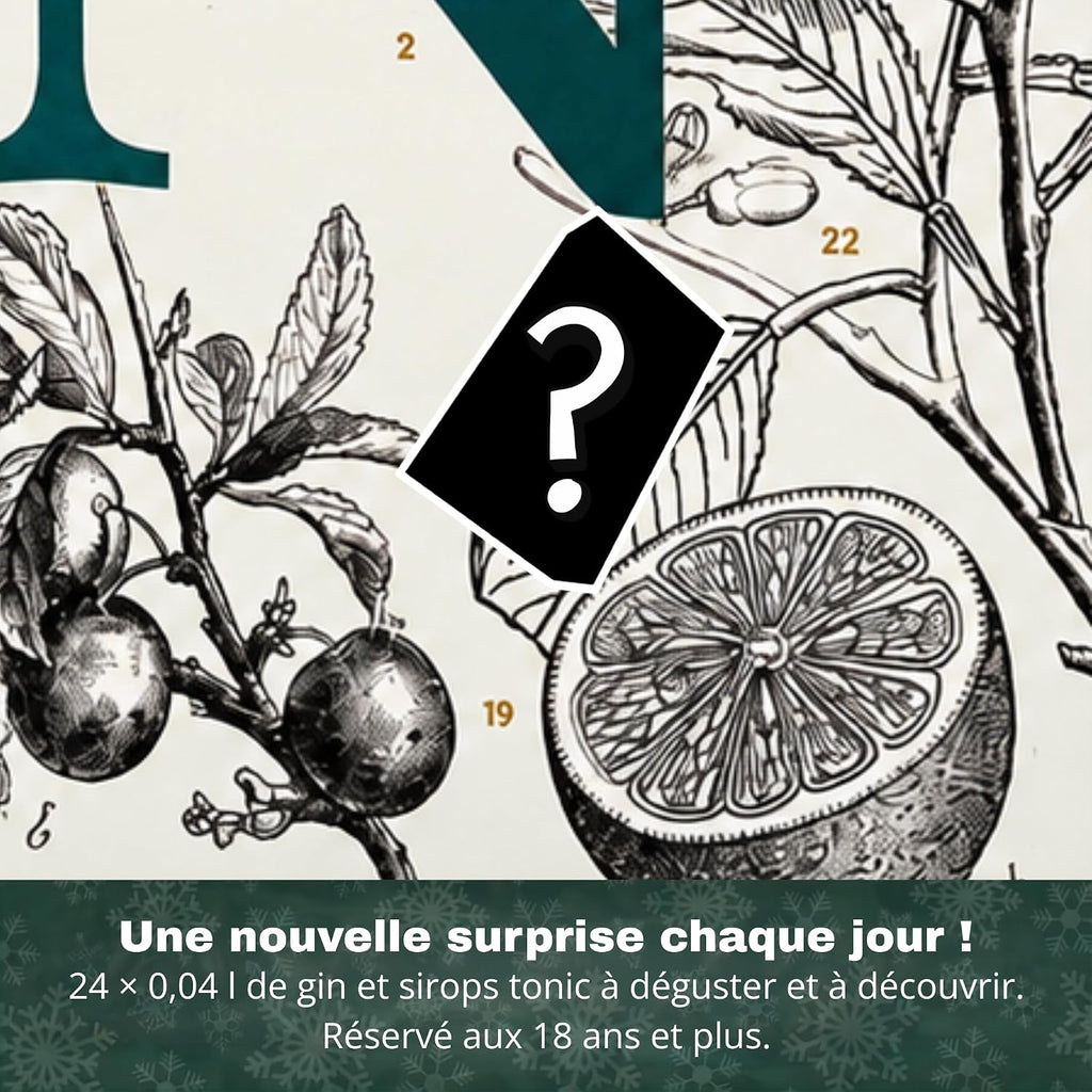 Calendrier de l'Avent Gin Collection 2026 Boxiland