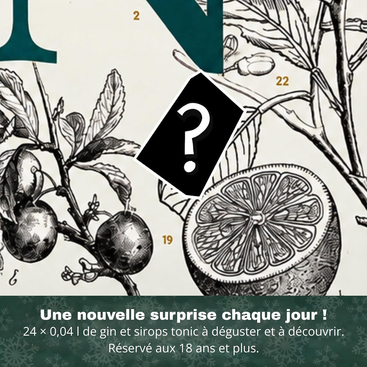 Calendrier de l'Avent Gin Collection 2026 Boxiland