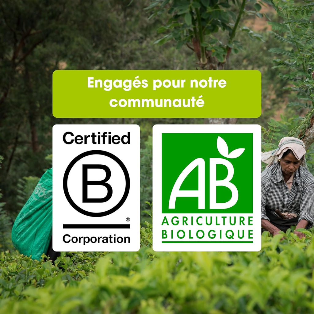 Calendrier de l’Avent Thé & Infusions Bio Arbre de Noël 2025 - English Tea Shop