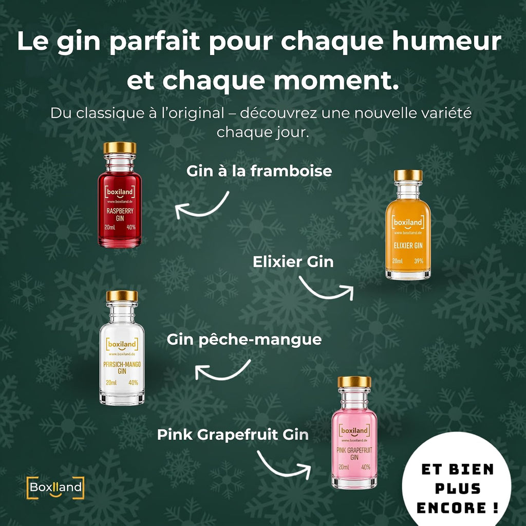 Calendrier de l'Avent Gin Boxiland 2026