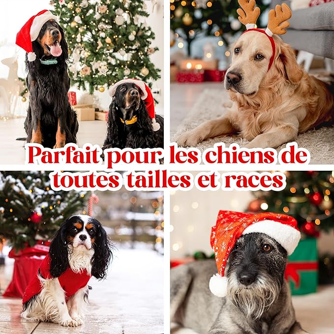 Calendrier de l'Avent friandises pour chien