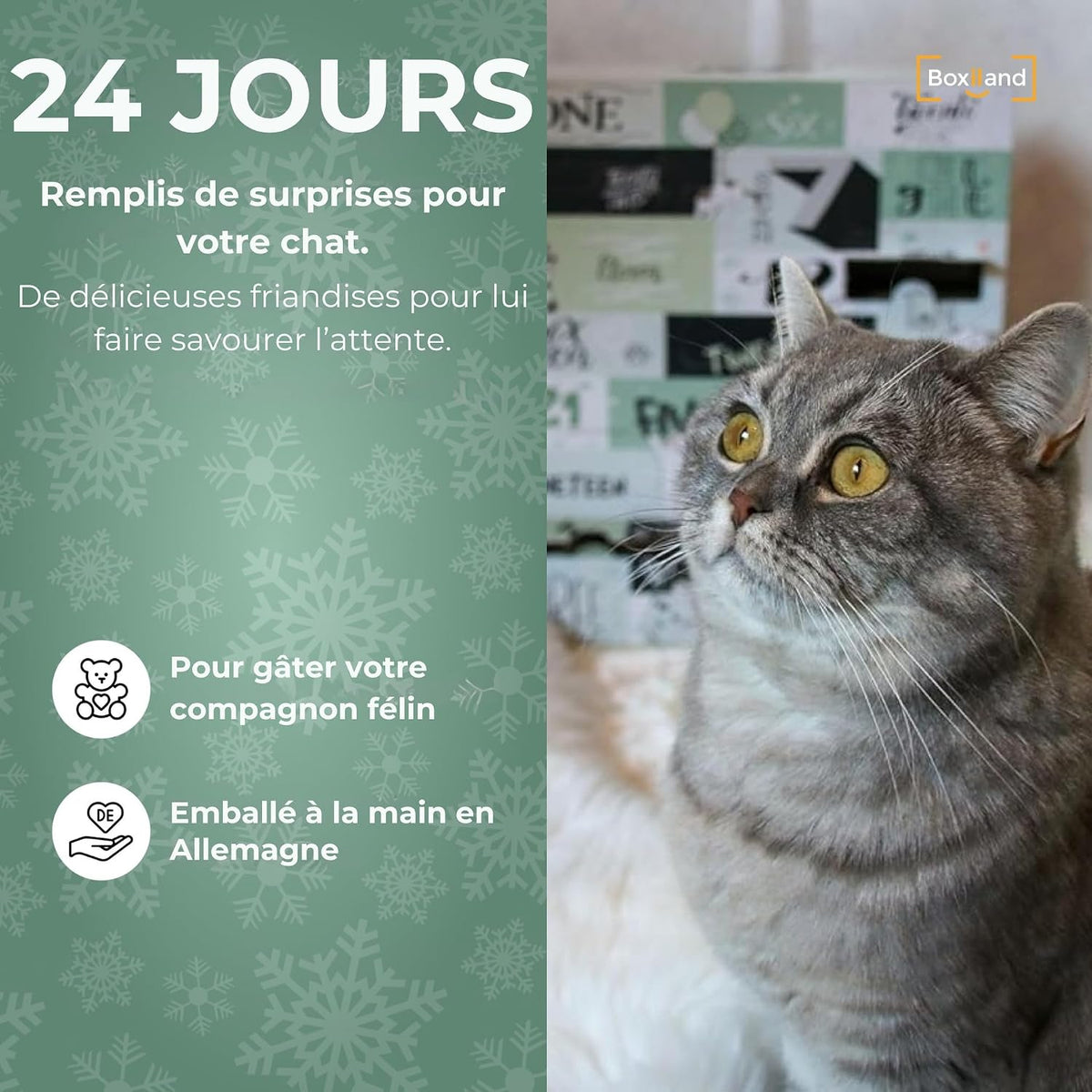 Calendrier de l'Avent Chat Boxiland, 24 jours de surprises pour chat