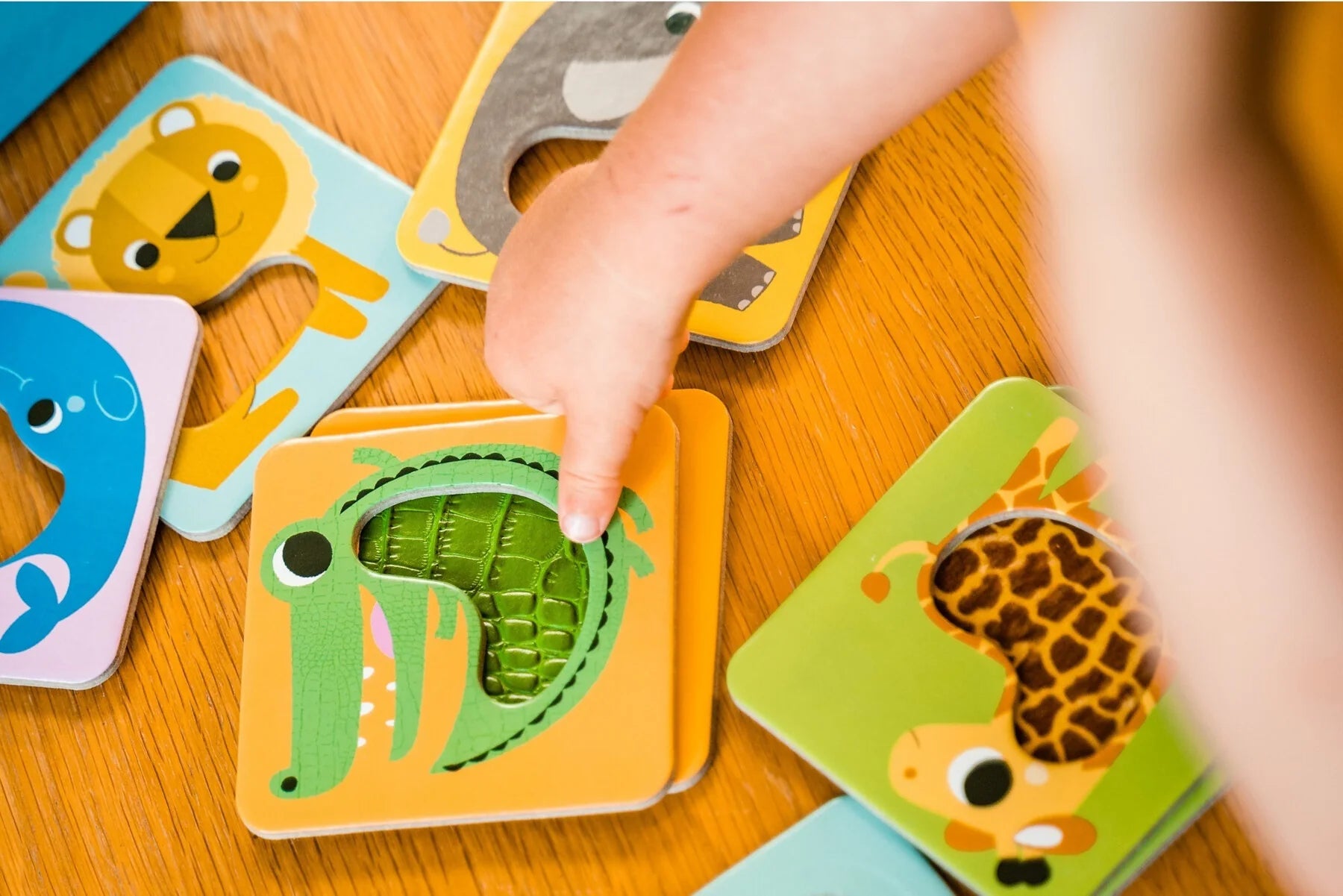 Les animaux à toucher – Petit Nathan