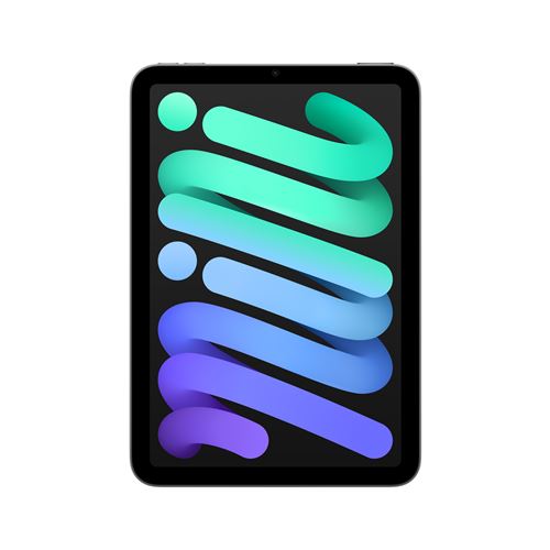 Apple iPad Mini 8,3'' 512 Go Gris Sidéral Wifi 7ème génération 2024