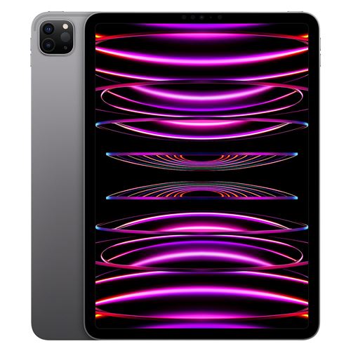 Apple iPad Pro 11" 256 Go Gris sidéral Wi-Fi 4ème génération 2022 Reconditionné par Lagoona