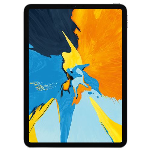 Apple iPad Pro 11" 64 Go Gris sidéral Wi-Fi 1ère génération 2018 Reconditionné par Lagoona