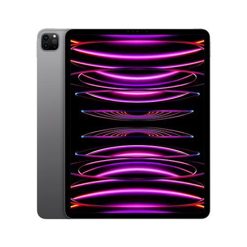Apple iPad Pro 12,9" Puce Apple M2 2To Gris Sidéral Wifi Fin 2022