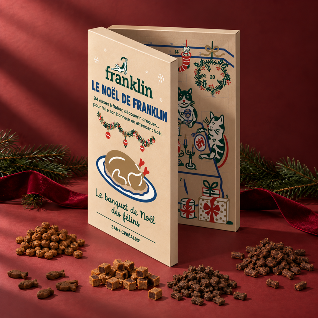 Calendrier de l'Avent Franklin pour chat 2026