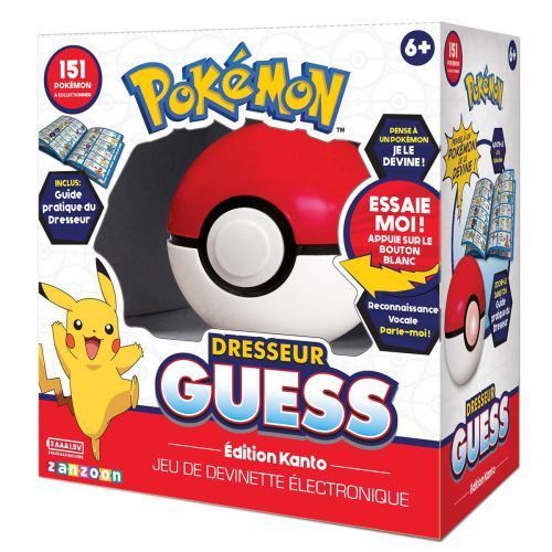 Figurine Pokémon Dresseur Guess