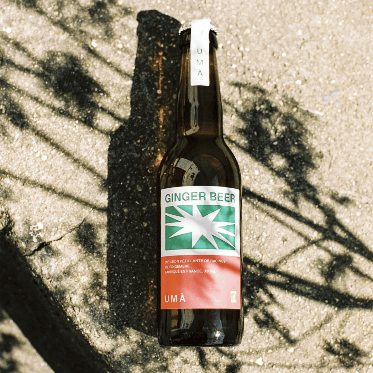 Bouteille de ginger beer bio sans alcool