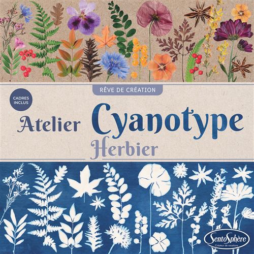Jeu créatif SentoSphère Atelier Cyanotype Herbier