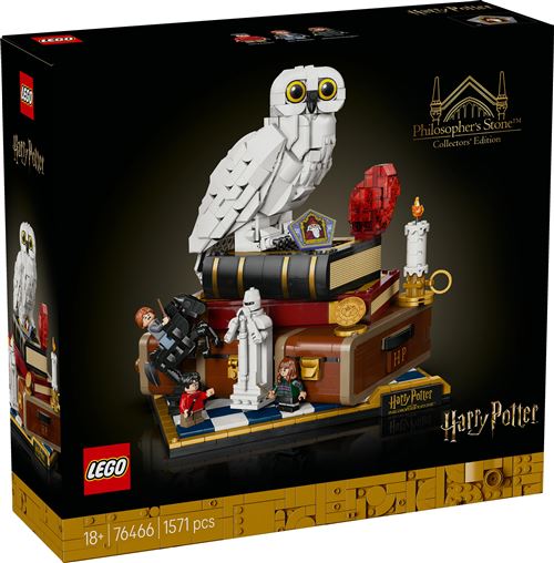 LEGO Harry Potter 76466 L'école des sorciers – Édition collector