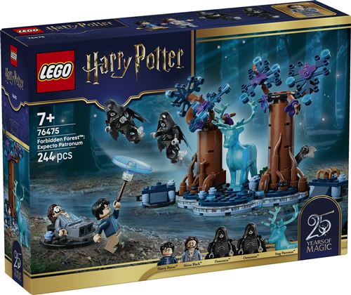 LEGO Harry Potter 76475 La Forêt interdite : Expecto Patronum