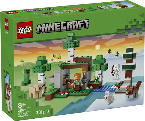 LEGO Minecraft 21593 L'aventure de la première nuit