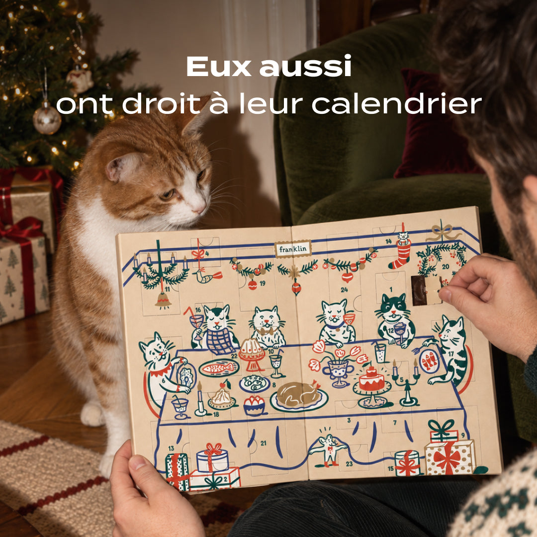 Calendrier de l'Avent Franklin pour chat sous le sapin