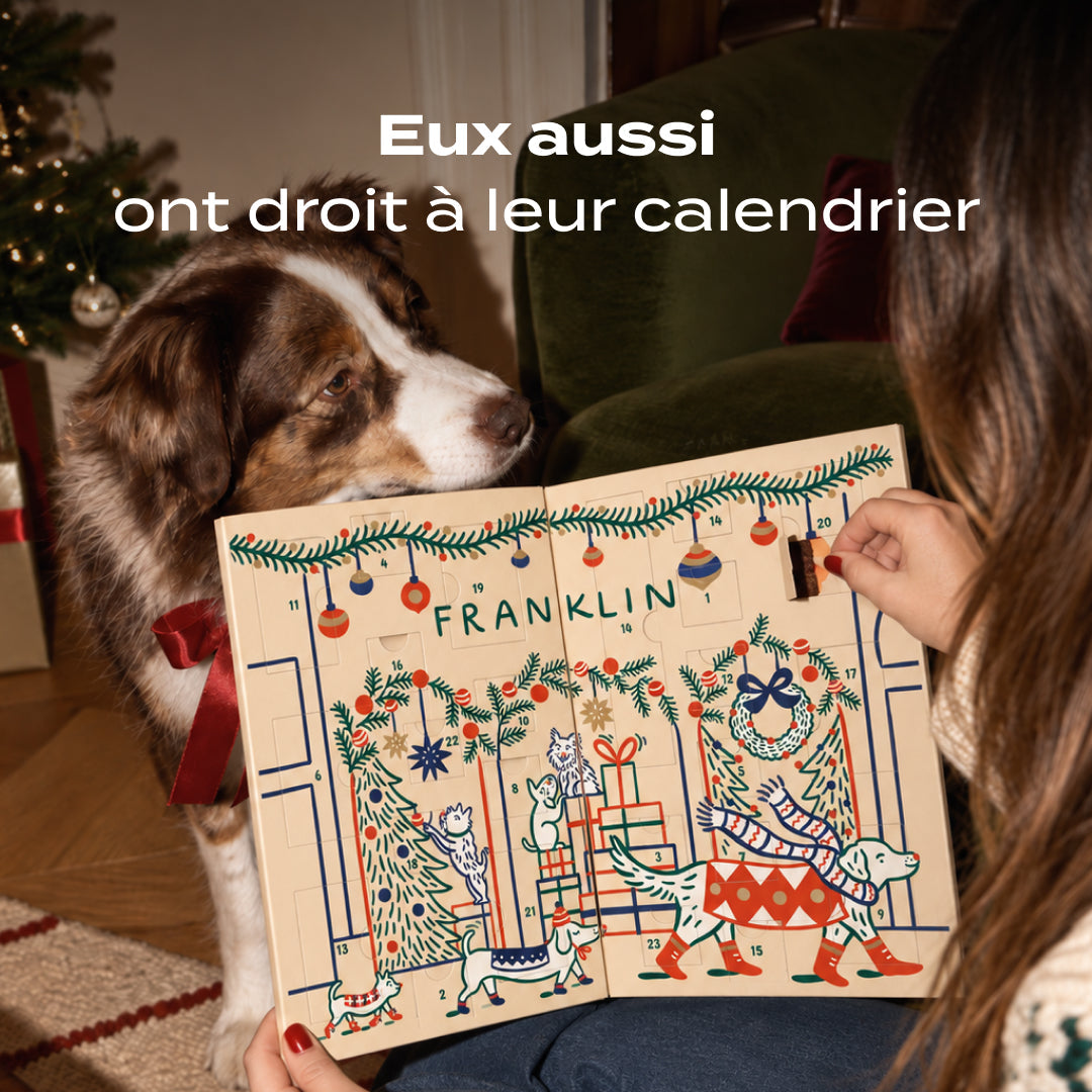Calendrier de l'Avent Franklin pour chien sous le sapin