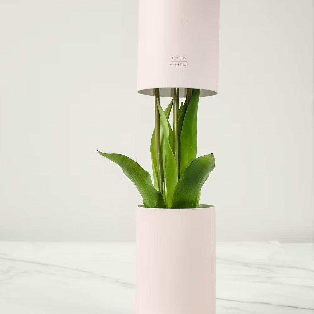 Tulipes éternelles rose foncé dans leur boîte-vase, cadeau déco