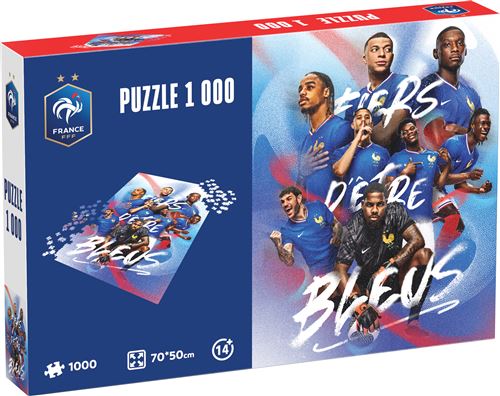 Puzzle 1000 pièces Megableu FFF