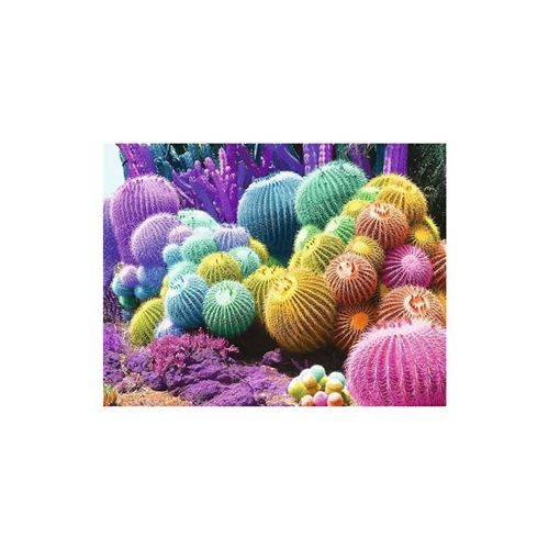 Puzzle 2000 pièces Nathan