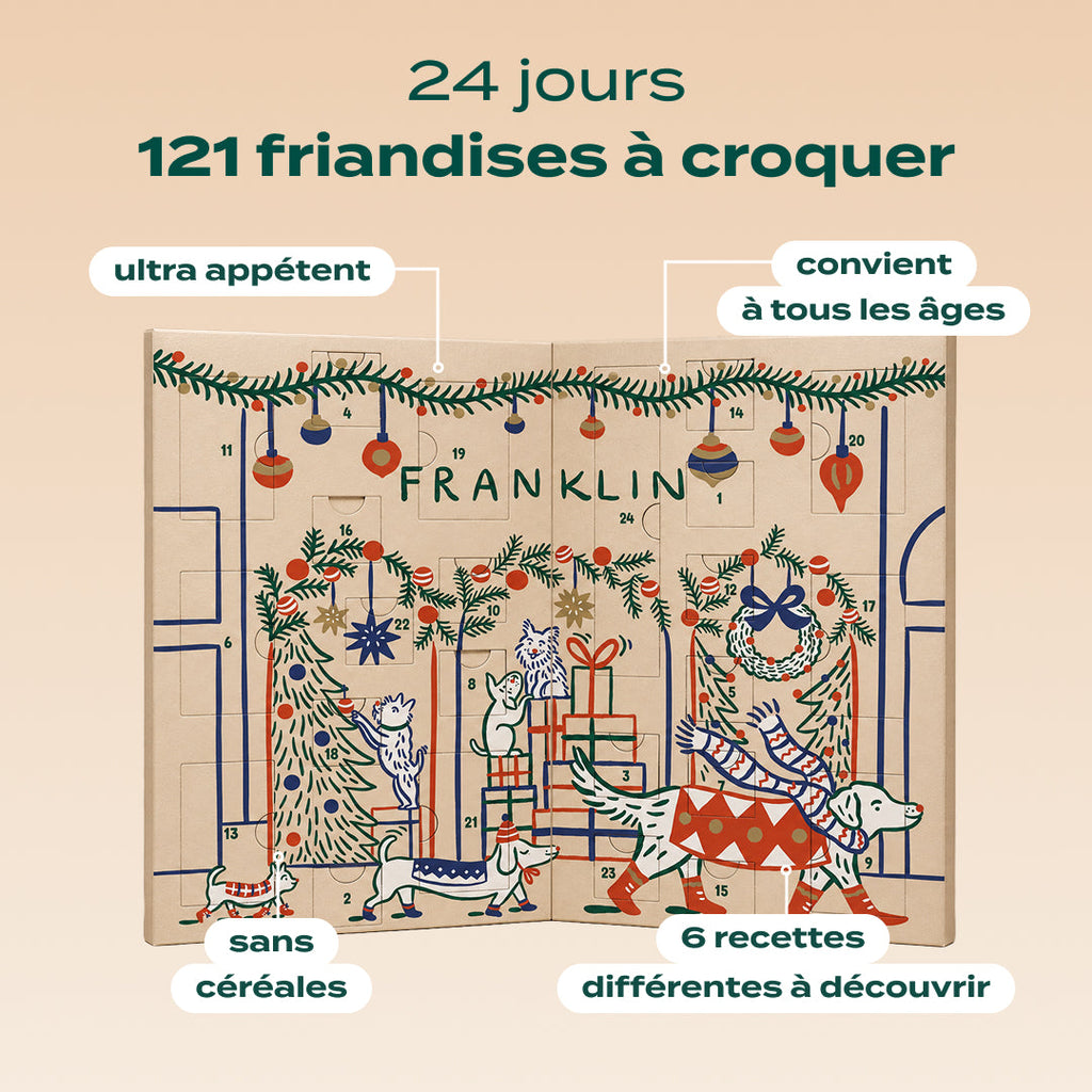 Friandises du calendrier de l'Avent Franklin pour chien