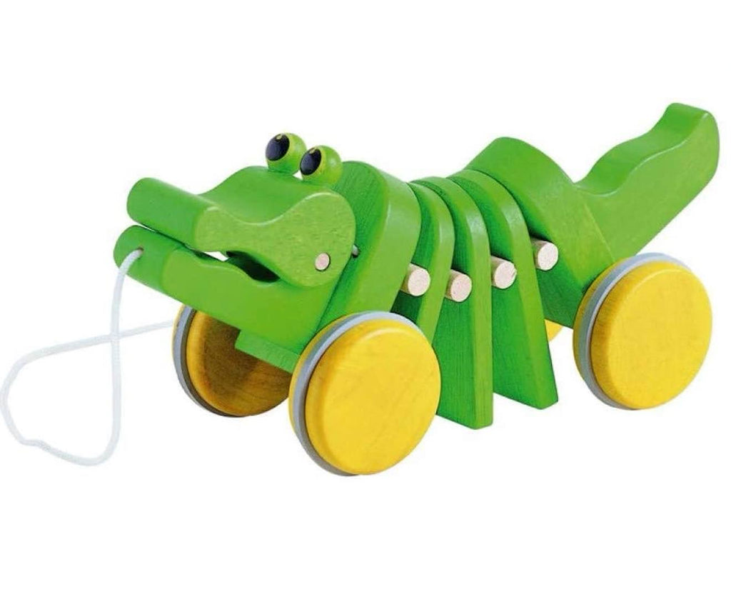 Alligator à tirer vert
