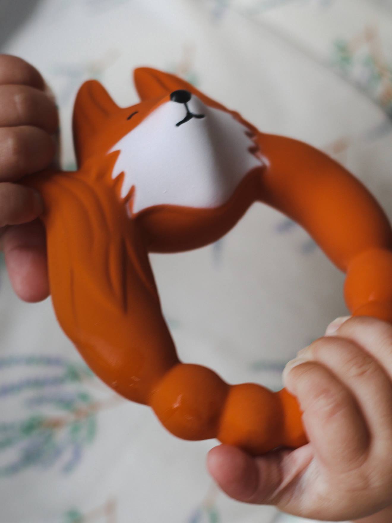 Anneau de dentition - fox