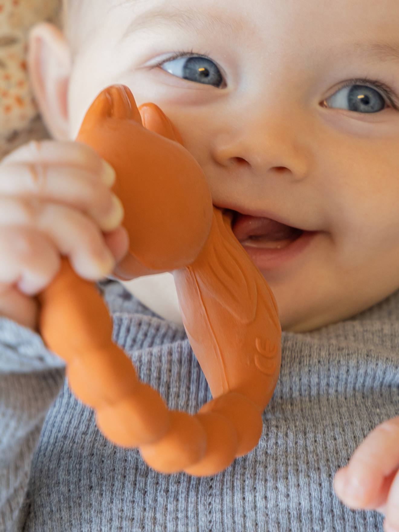 Anneau de dentition - fox