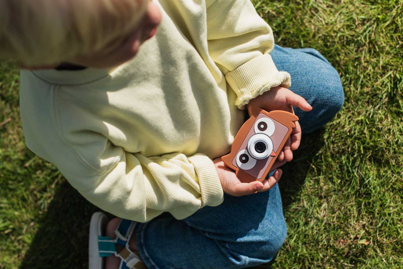 Appareil photo hibou multicolore