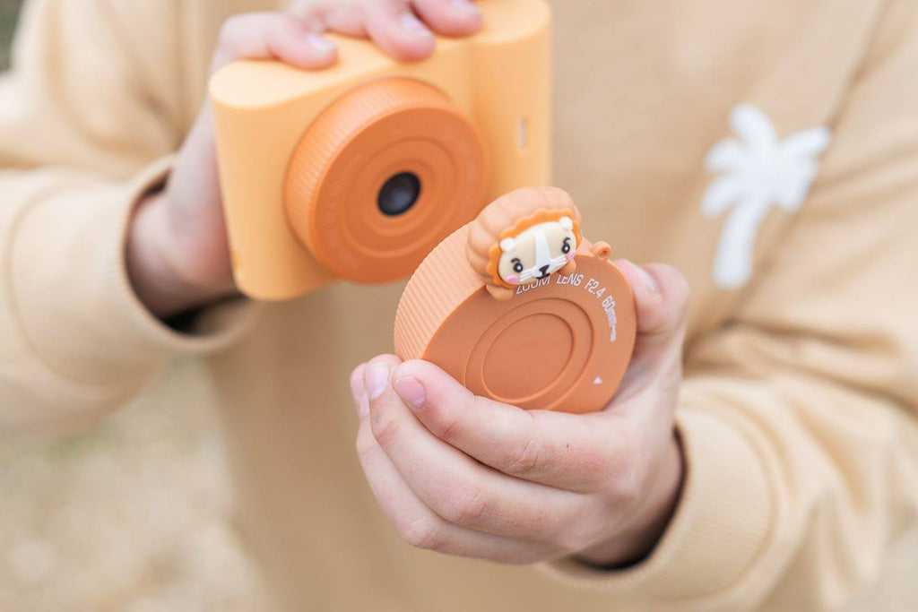 Appareil photo urbain lion orange, marron, blanc
