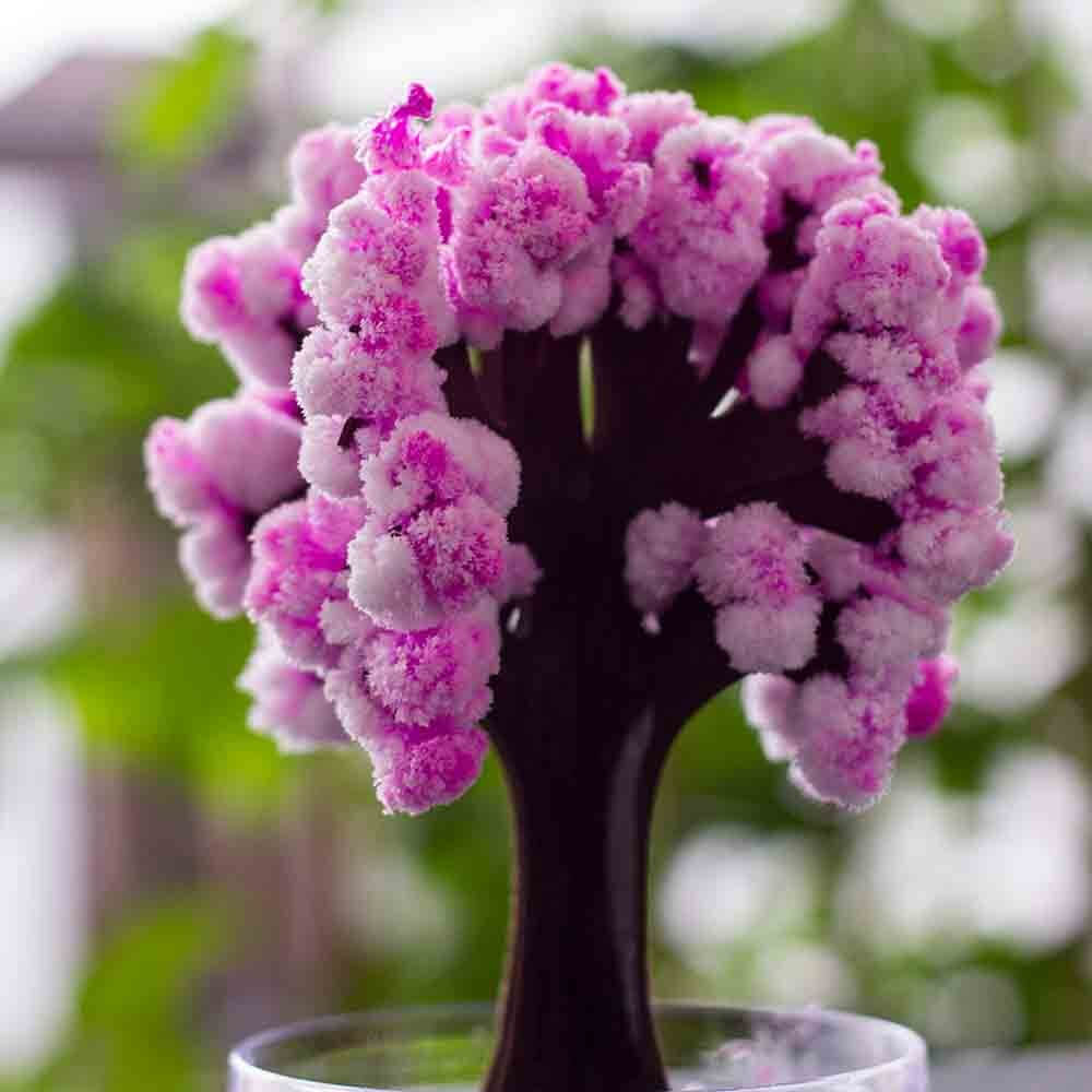 Arbre Magique Sakura - Objet Déco Original CadoMaestro