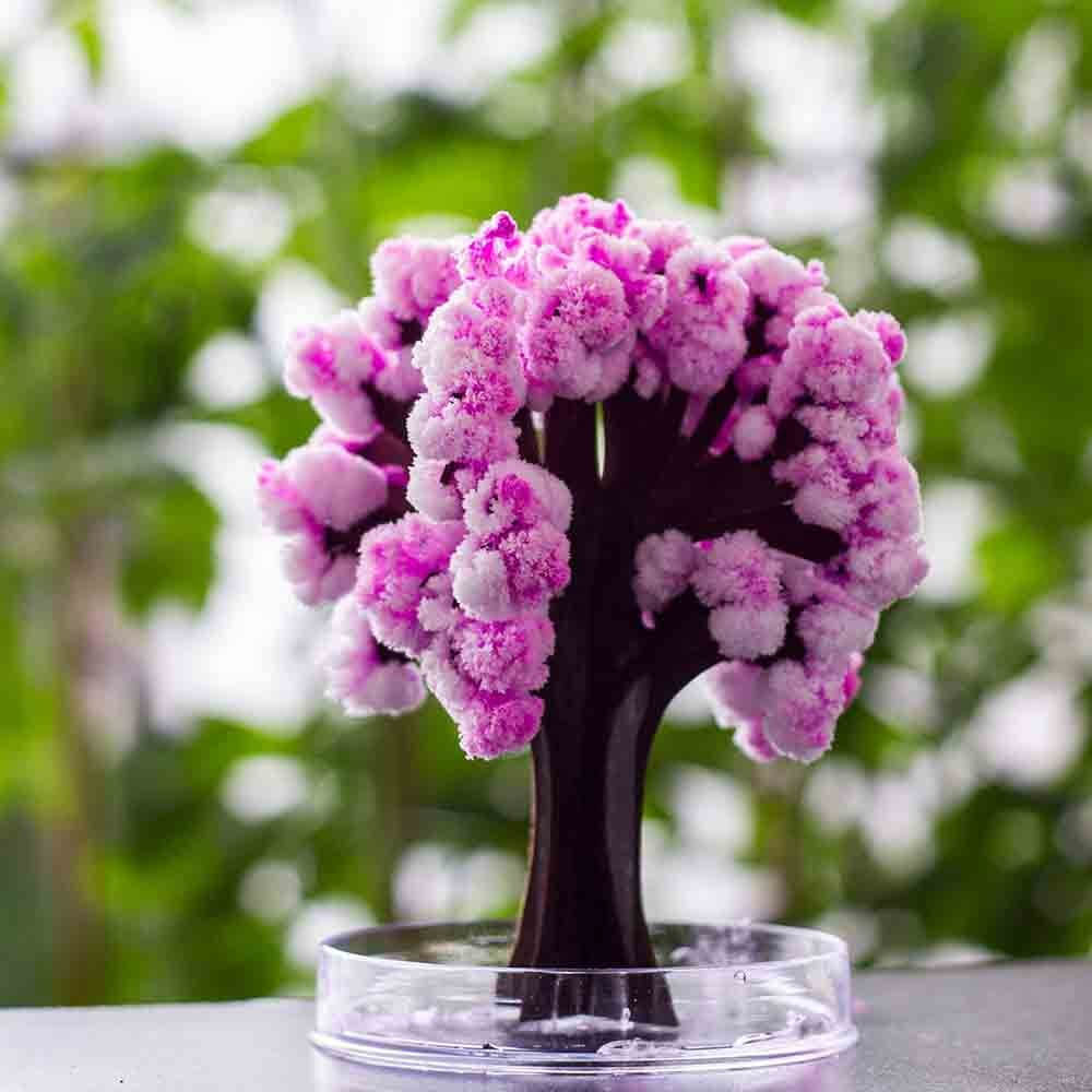 Arbre Magique Sakura - Objet Déco Original CadoMaestro