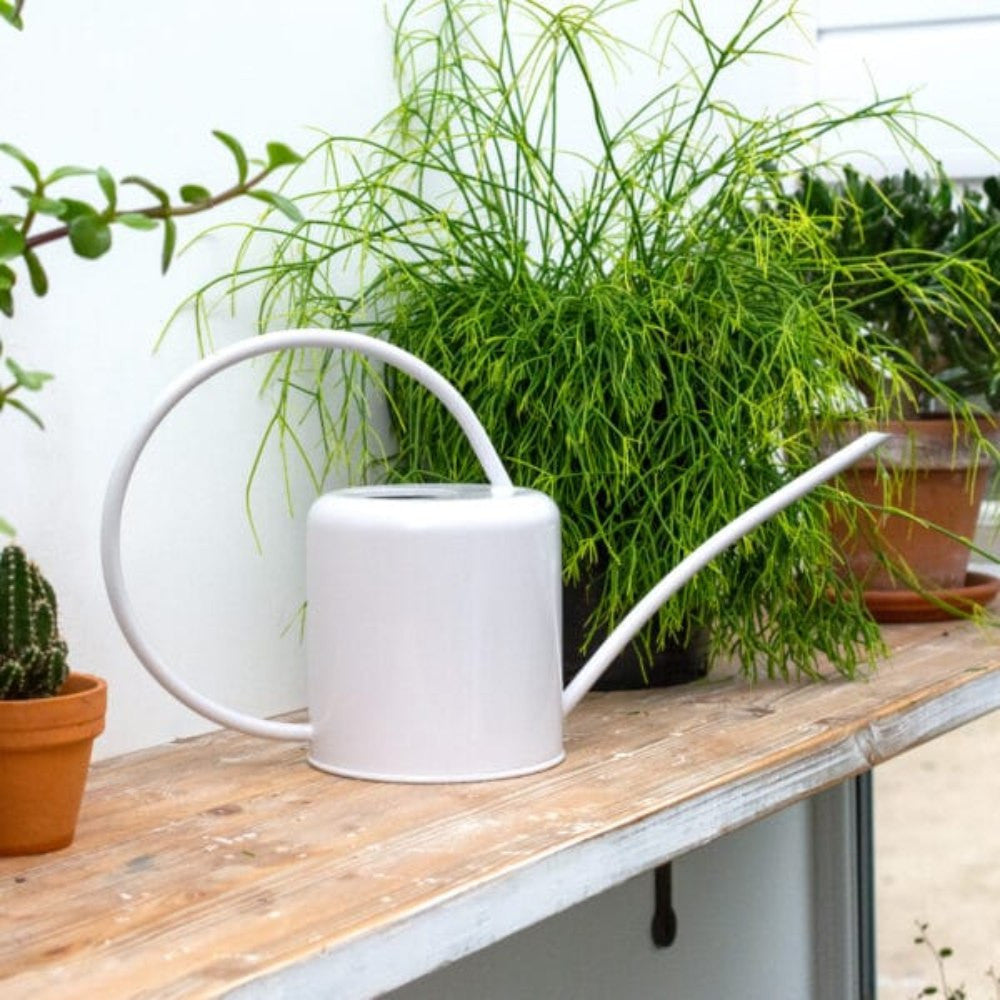 Arrosoir d'Intérieur pour Plantes 1.4L Blanc - Kits de Plantation